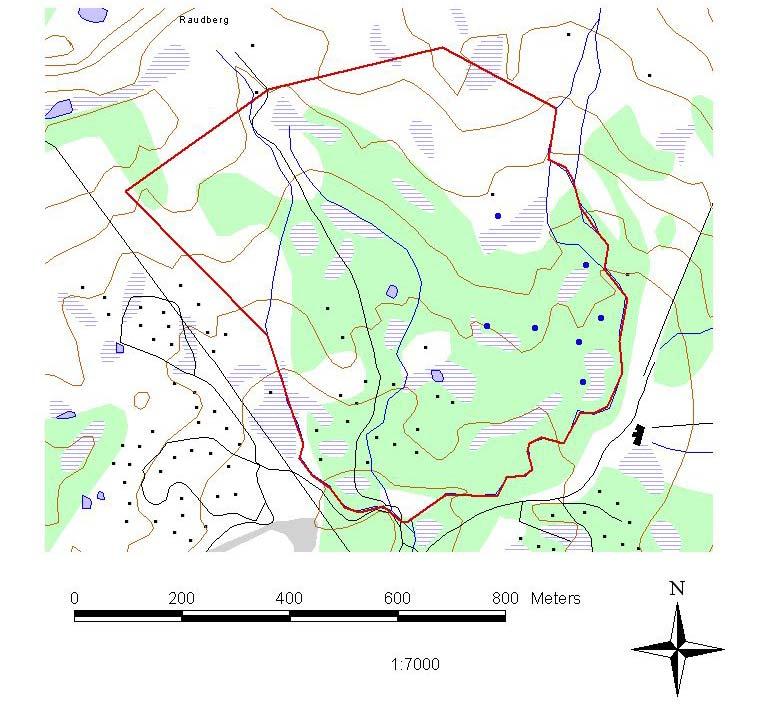 Figur 3: Kart over hele planområdet, med kullgropene markert i blått BESKRIVELSE TERRENGET Planområdet er en ujevn åsside, med bekkedaler langs kantene.