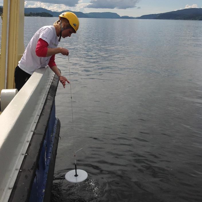 Mellom-årlige variasjoner i siktedypmålinger for mai skyldes normalt varierende mengde plankton (algeoppblomstringer) i vannet eller varierende tilførsel av partikler og løst organisk materiale.