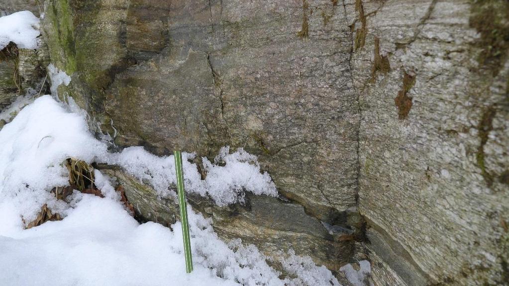 2 Observasjoner 2.1 Berggrunn Berggrunnskart fra NGU over området viser at hovedbergart er «Diorittisk til granittisk gneis, migmatitt».