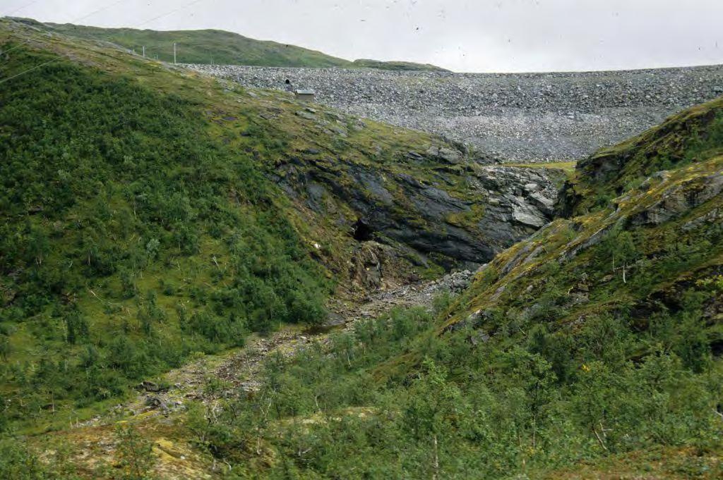 Dammen i utløpet av Store Akersvatn (foto: Fylkesmannen i Nordland) I flere av de regulerte vassdragene har regulanten blitt pålagt tiltak som for eksempel utsetting av fisk, bygging av fisketrapper