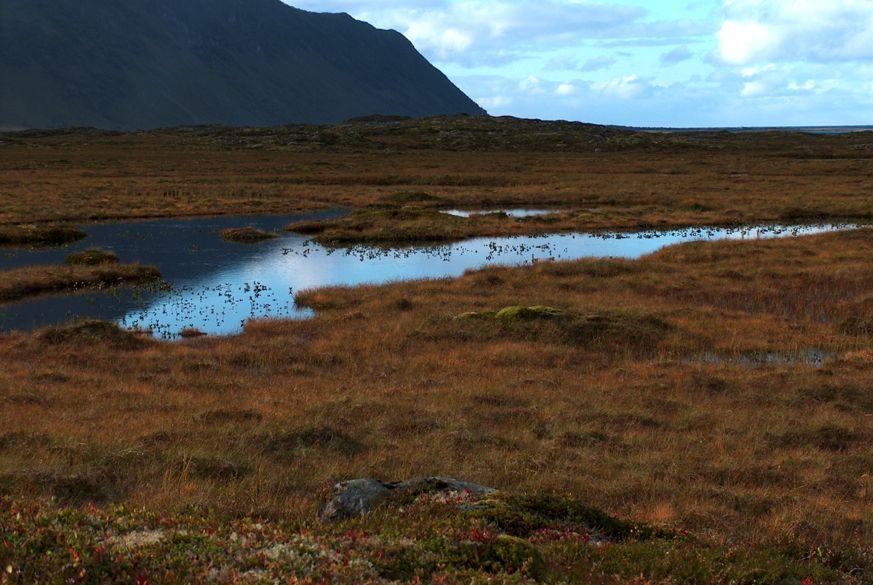 Den østre delen av planområdet grenser inn mot dette verneområdet, og en viktig del av denne utredningen var å avklare hvorvidt det også forekommer atlantiske høymyrer eller terrengdekkende myrer