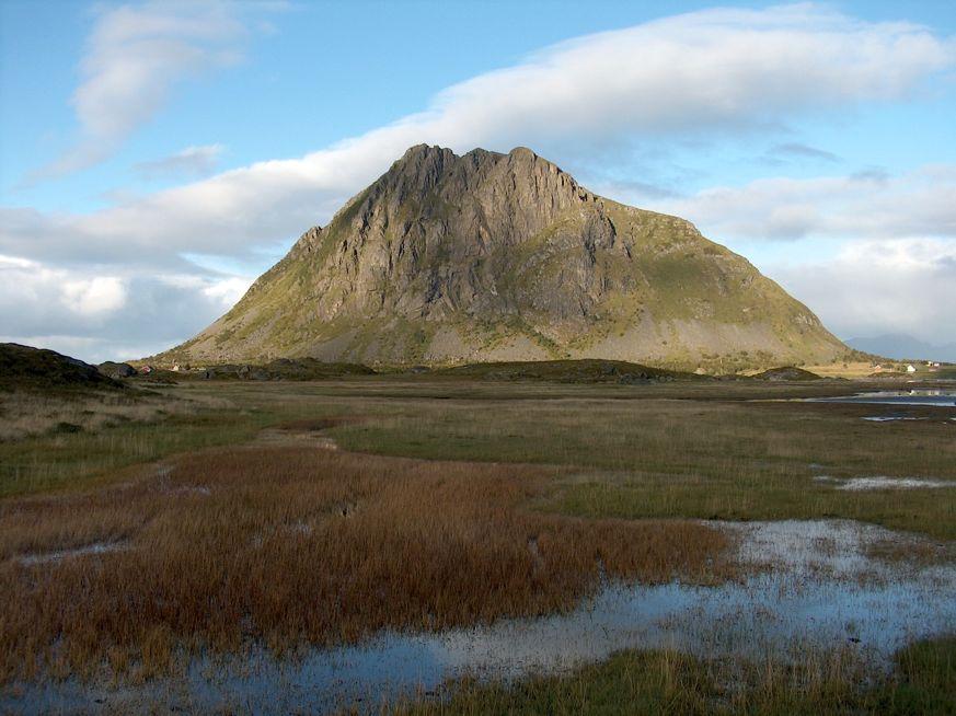 til Lofoten, og regnes som en sterkt truet naturtype (EN). Grunneier i området opplyser imidlertid at det ikke er drevet lyngbrenning i planområdet de siste tiårene.