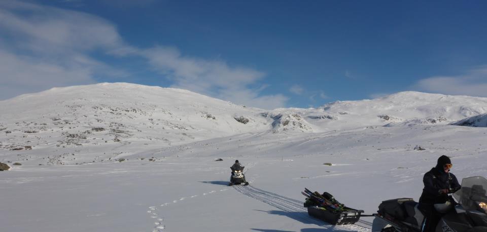 Motorferdsel på