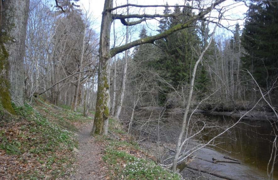 6.1.3.1 Delområde 11.1 Lågen Verdivurdering Figur 6-12. Elvestien ligger idyllisk til langs Lågen.