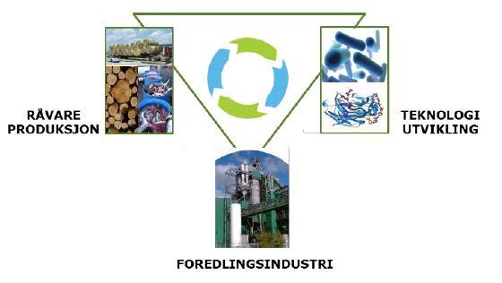 Sektorer i bioøkonomien Jordbruk Fiskeri og akvakultur Matindustri Skogbruk Skogindustri Bioenergi og bioraffinering -------------------------------------