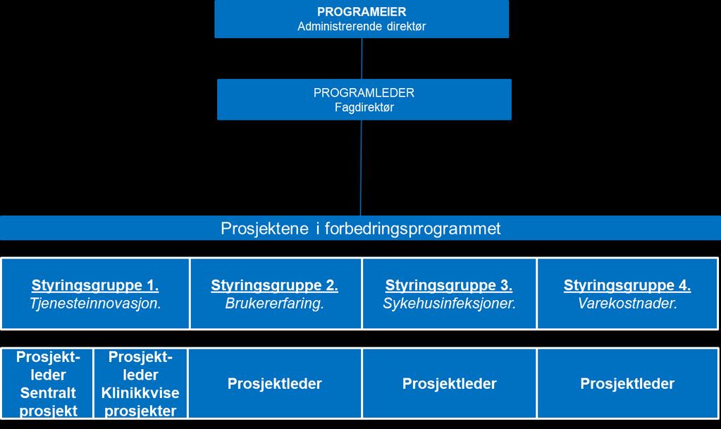 STYRING OG ORGANISERING Programeier: Administrerende direktør Programleder: Fagdirektør Programeier og programleder utgjør programstyret og leder programmet som en del av virksomhetsstyringen.