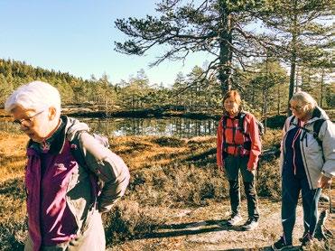 Seniorene på Drammen EasyLife Senter er ivrige på trening, så det er godt oppmøte på formiddagene. Høy svettefaktor og mye atter preger timene.