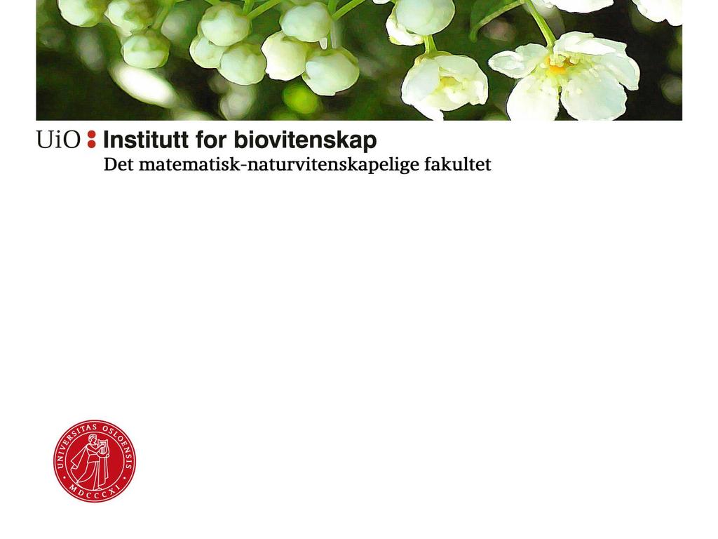 Semesterevaluering Første semester Biovitenskap høst 2017 STUT 31.