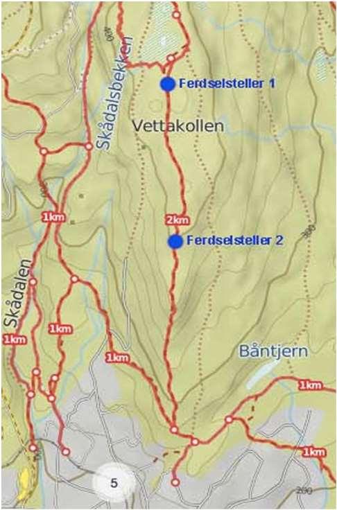 Syn på tilrettelegging?