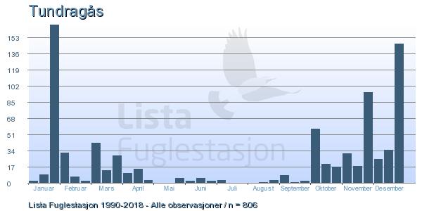 3.1. Tundragås på Lista Observasjoner per