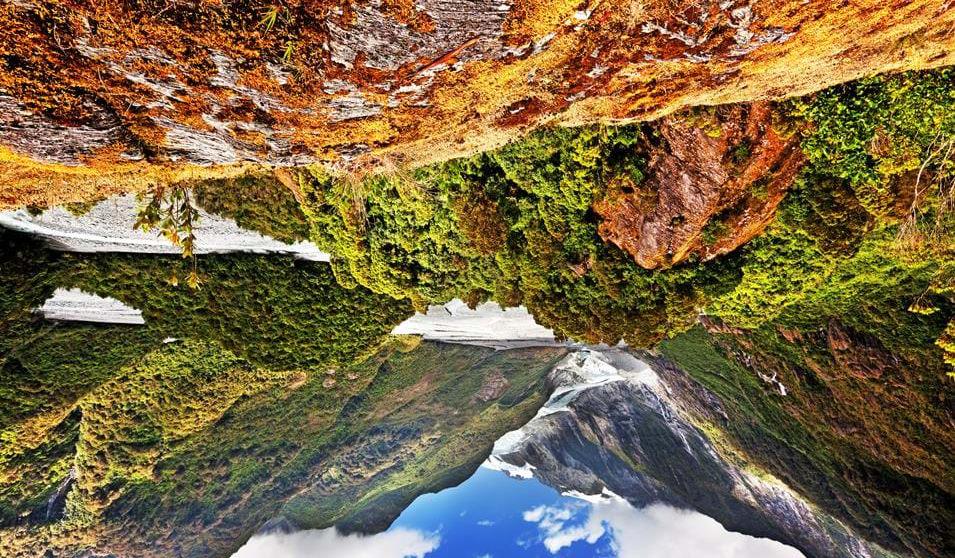 Isbreen Franz Joseph - Aktivitetsferie på New Zealand Park starter med en gradvis stigning gjennom en 130 millioner år gammel verden, bestående av vakre bregner, mose, lav og bøkeskog.