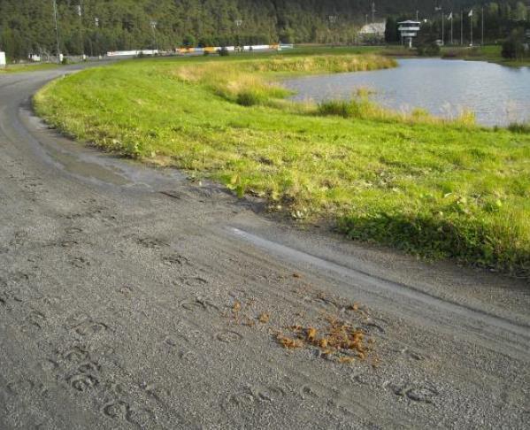 Utfordring 1: Avrenning fra hestesportanlegg Bergen travpark og Bergen og omegn travselskap