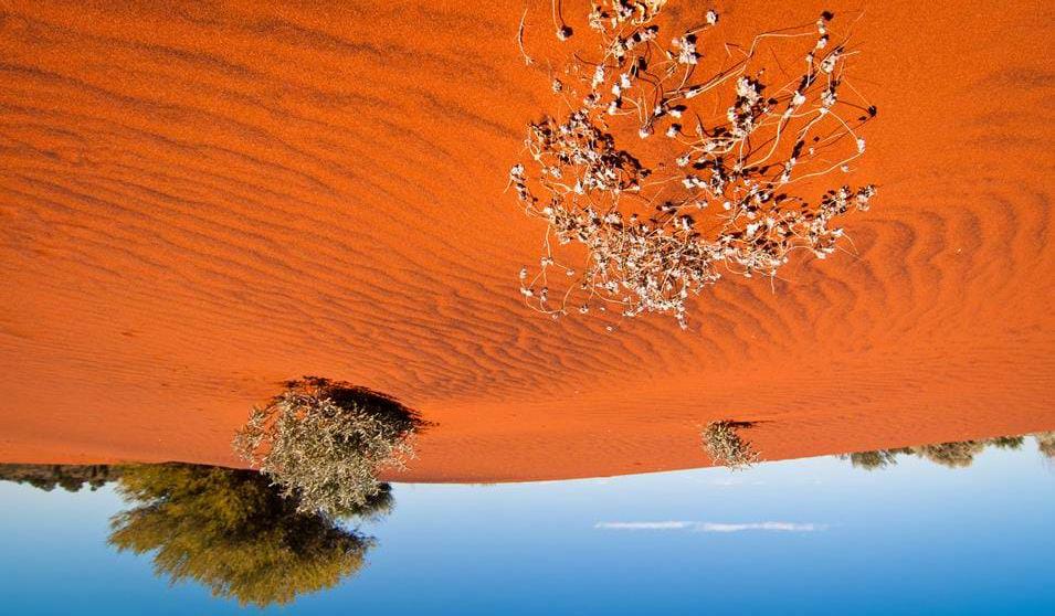 Røde sanddyner i outbacken - Australia og Fiji Nadi er et av Fijis største bosatte områder og har mange muligheter for besøkende.