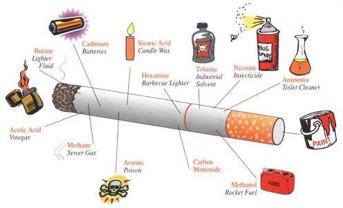 Hva inneholder sigaretten Sigarettrøyk inneholder over 6000 kjemikalier og forårsaker minst 17 former for kreft 69 av stoffene f