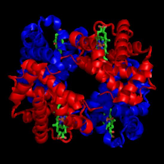 (mutasjoner) i kreftcellene Gener: DNA (basene