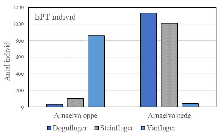 Figur 20. Antal taksa av døgnfluger (E), steinfluger (P) og vårfluger (T) (til venstre), og antal individ av dei same tre EPT-gruppene (til høgre) frå to prøvestadar i Arnavassdraget.