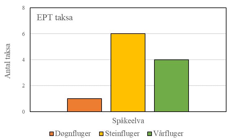 Figur 24. Antal taksa av døgnfluger (E), steinfluger (P) og vårfluger (T) (til venstre), og antal individ av dei same tre EPT-gruppene (til høgre) frå ein prøvestad i Gaupåsvassdraget.