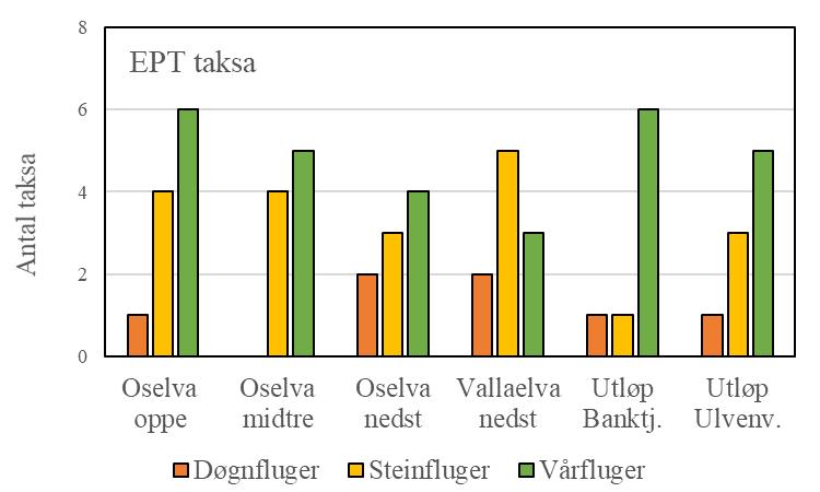 Nede i Oselva vart det funne 187 EPT-individ fordelt på 9 taksa, og til saman var det funne 535 botndyr. Det vart registrert 11 indekserte familiar og ASPT-indeksen tilsvara tilstand «dårleg».