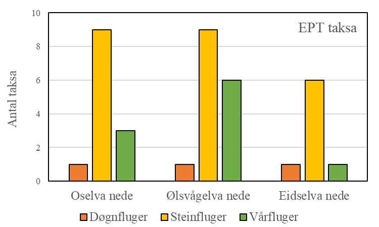 Figur 56. Antal taksa av døgnfluger (E), steinfluger (P) og vårfluger (T) (til venstre), og antal individ av dei same tre EPT-gruppene (til høgre) frå tre vassdrag i Vindafjord kommune.
