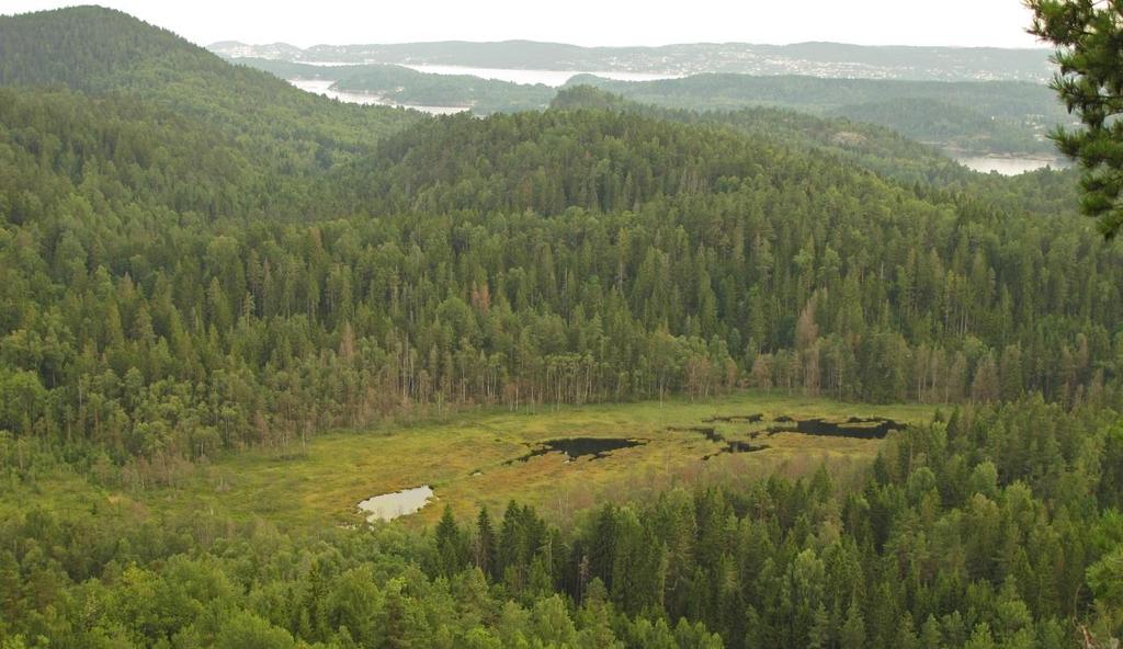 Landskapsbilde fra Demningane naturreservat i Bergsbygda, Porsgrunn