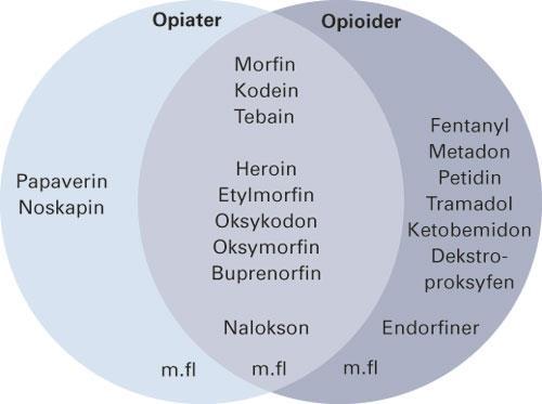 LAR-pasienten et farmakologisk perspektiv Overlege Trond Oskar Aamo Avd. for klinisk farmakologi, St.