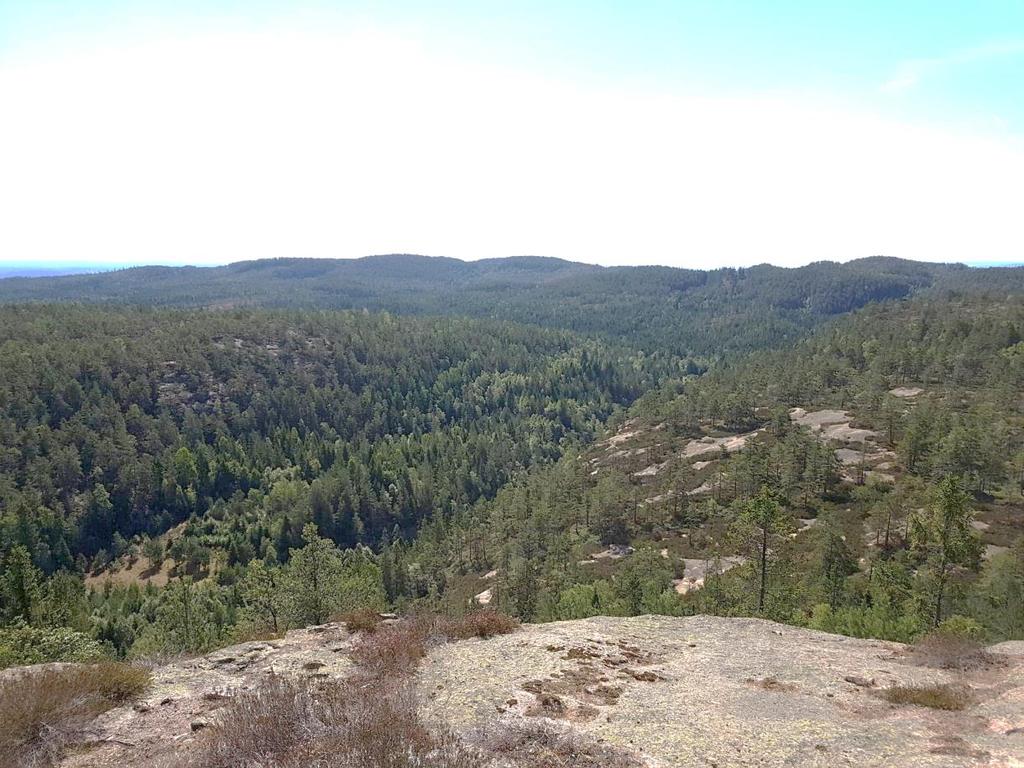 Terrenget er dominert av lyng, og har noen få partier med myr. Det høyeste punktet ligger i vest, kalt Rødbykollen (284 moh).