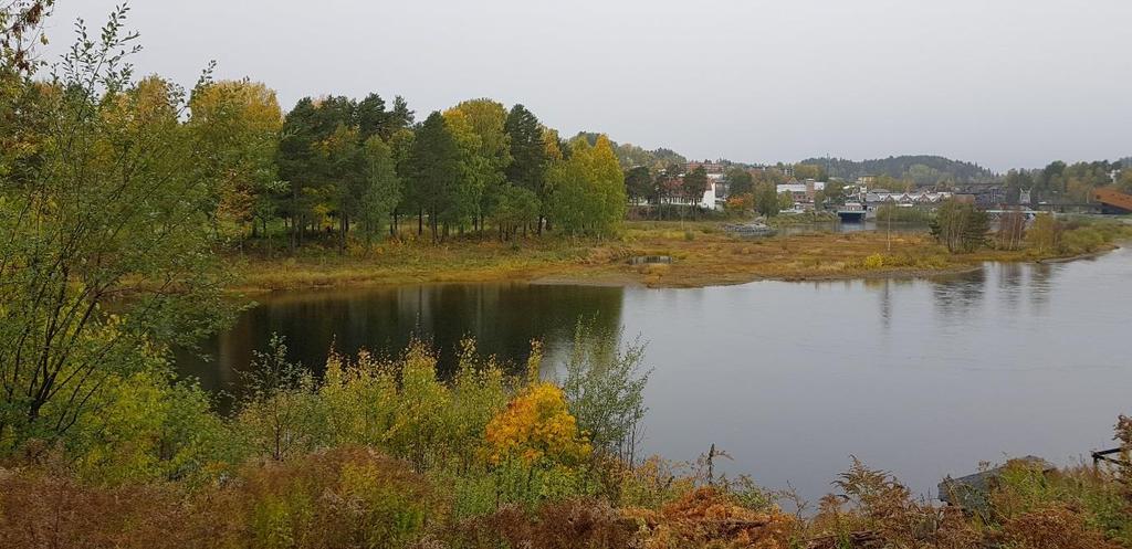 HØNEFOSS 19 (73) 5.3 Grøntområder og rekreasjonsverdier Schjongslunden er et viktig bynært friluftsområde for Hønefoss.