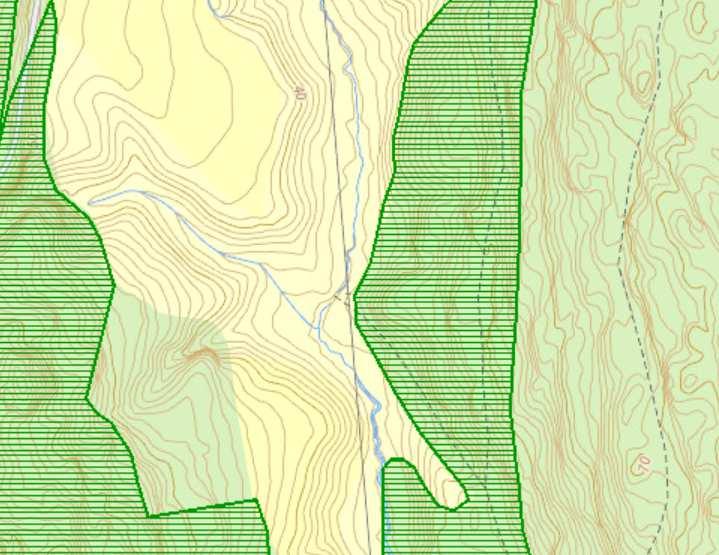 Registreringer i Naturbase I Miljødirektoratets karttjeneste Naturbase er naturtypen Hagemark registrert nordøst for bekken (grønnskravert område markert med rød pil på figur 2).