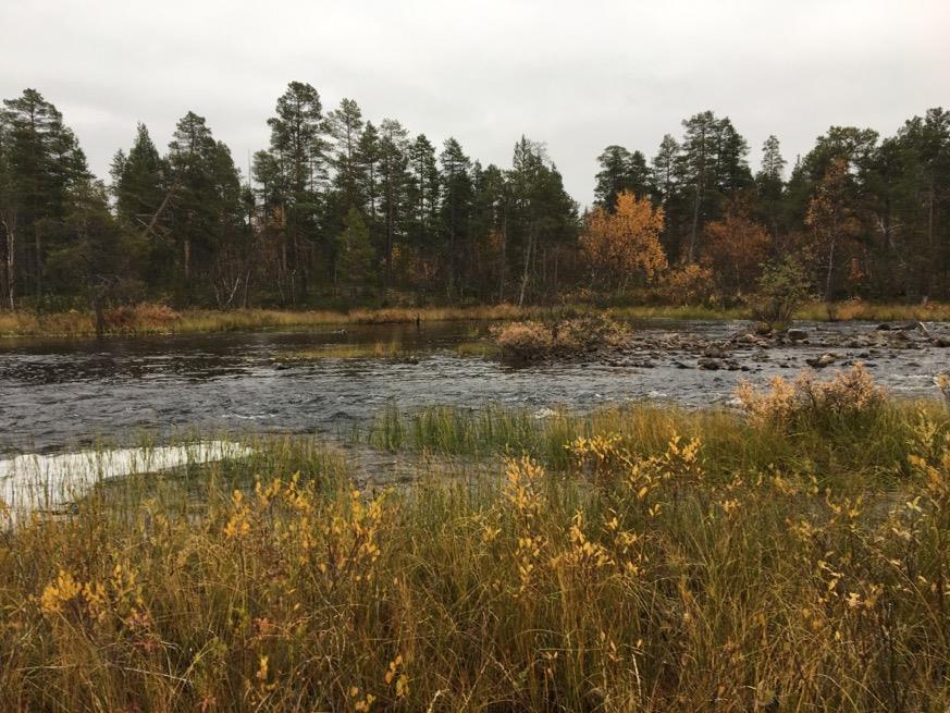 bakgrunnen på andre siden av øra (B5).