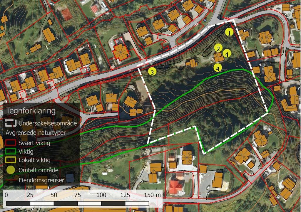 Figur 3. Figuren viser undersøkelsesområdet, eiendomsgrenser, avgrenset naturtypelokalitet med grønn strek og plassering av enkelte elementer med gule punkter. Nr. 1 er ca.