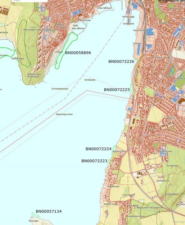 Figur 2. Ålegrasforekomster kartlagt i 2009/2010 og registrert i Naturbase (grønt omriss) i Verlebukta.