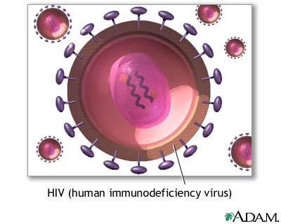 Virus Enkel oppbygging: Arvestoff (DNA eller RNA) omsluttet av en beskyttende proteinkappe.
