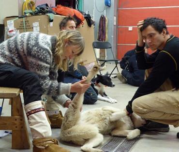 Store deler av kurset var praktisk rettet slik at kursdeltagerne hadde med egen hund som de fikk prøvd på, og instruktørene demonstrerte også full undersøkelse på hund.