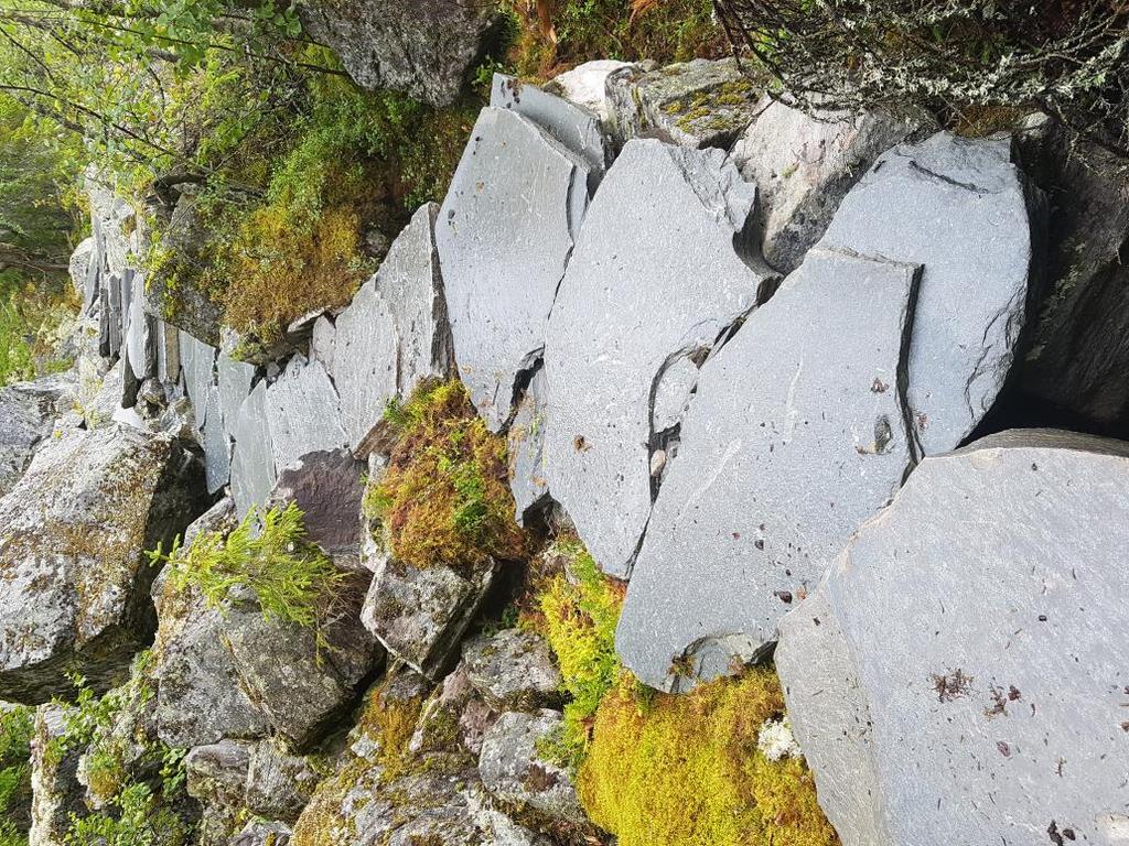 Årsrapport for 2017 fra SNO til forvaltningsstyret for Trillemarka Rollagsfjell naturreservat M-912 2.1.7 Rydding av skog og kratt rundt kulturminne, Storvassdammen Gjennomført og lagt inn i verneområdeloggen.