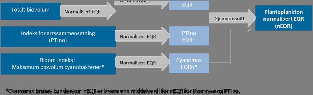 (Direktoratsgruppa Vanndirektivet 29). Klorofyll a og biovolum er to uavhengige mål på planteplanktonets biomasse.