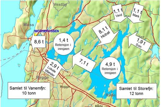 FAKTAARK 213 VANNOMRÅDEUTVALGET MORSA Tilførselselver og bekker Konsentrasjon av næringsstoffer Tabellen under viser gjennomsnittskonsentrasjon av næringsstoffer og 9% persentilen av tarmbakterier.