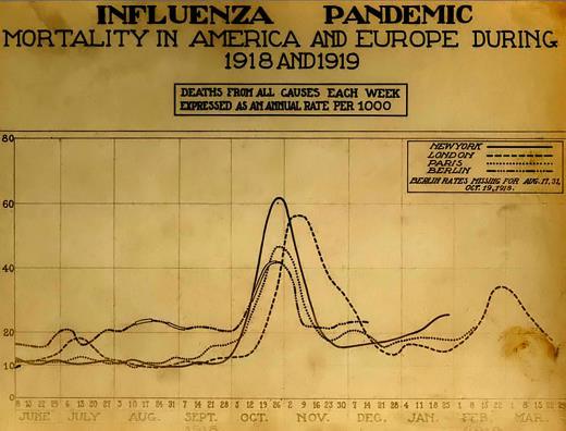 Orthomyxovirus >>> Influensa A Svært fryktet: Menneske,