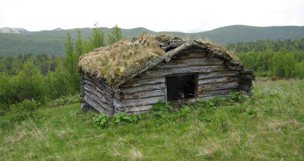 I søknaden skrev Steinar Selsjord at løa sto på ei kve som også ble brukt av andre, og at den sto i nærheten av et hyttetun.