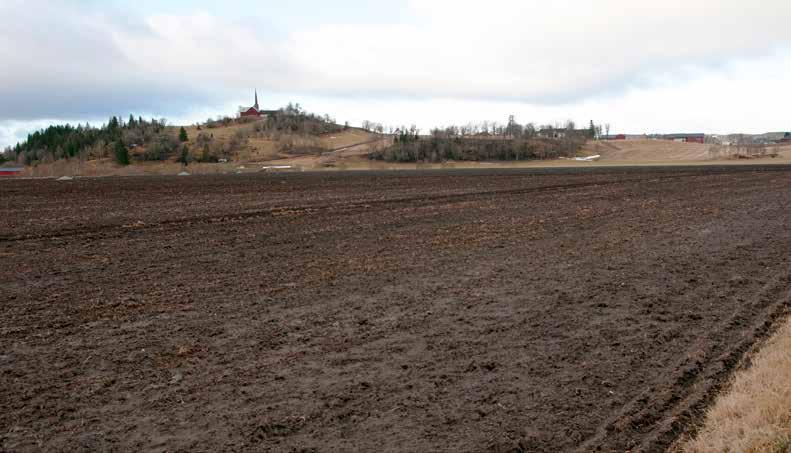 Gir også økt frostbeskyttelse i plantene. Kan vannes ut eller brukes som bladgjødsel. FKnr.