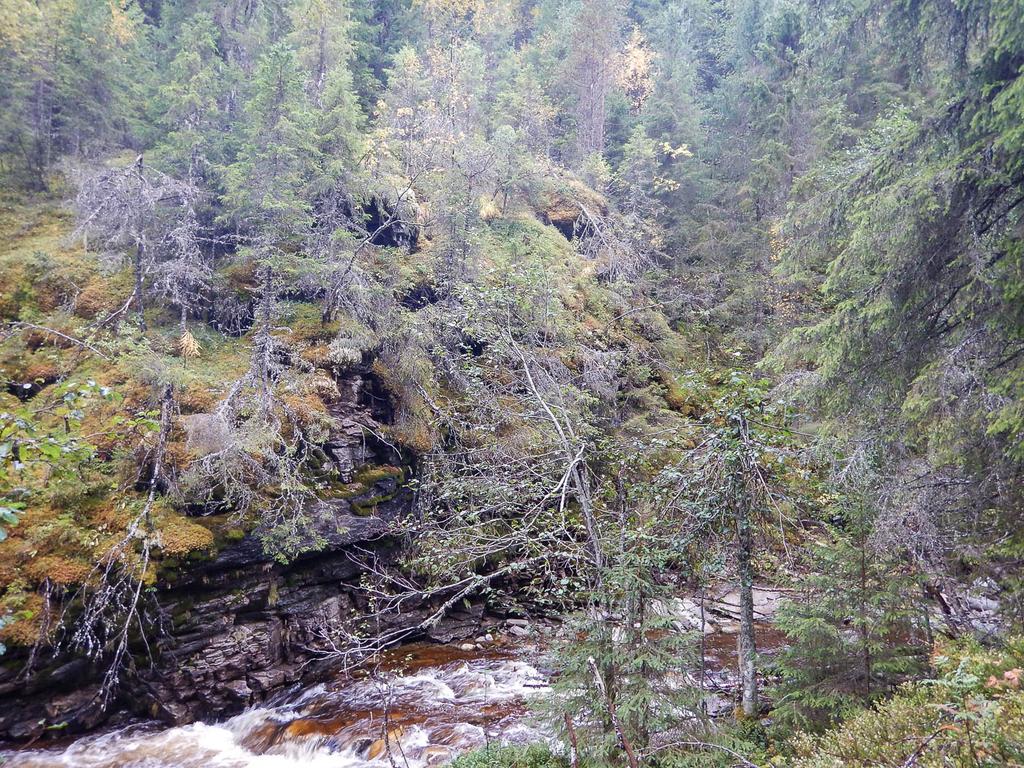 Foto: Kim Abel Øvre del av lisidene består