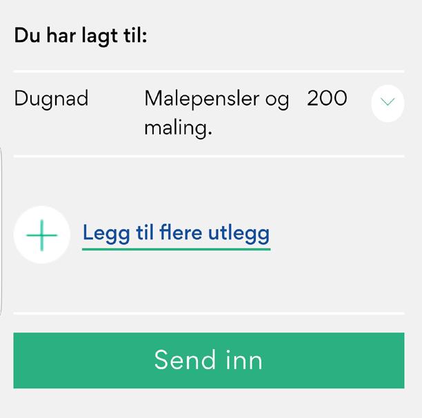 I neste steg velger man hva slags utlegg det dreier seg om. Gi også en beskrivelse av hva du har lagt ut for og i hvilken sammenheng. Fyll ut beløp, og trykk på «Legg ved kvittering».