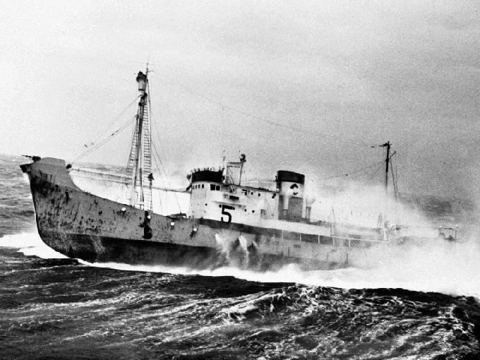 SFJ00219490220002 MS/Hvb THORØRN. Et av de berømte bildene tatt av ing i sesongen ---. 1949 MS/Hvb THORØRN (SFJ002194902) Type Motorskip, hvalbåt motor ship, whale catcher Off.