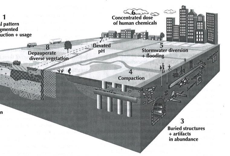 UTFORDRINGER I URBAN GRUNN Figure. Illustration from: Forman, T.T.R., 2014.