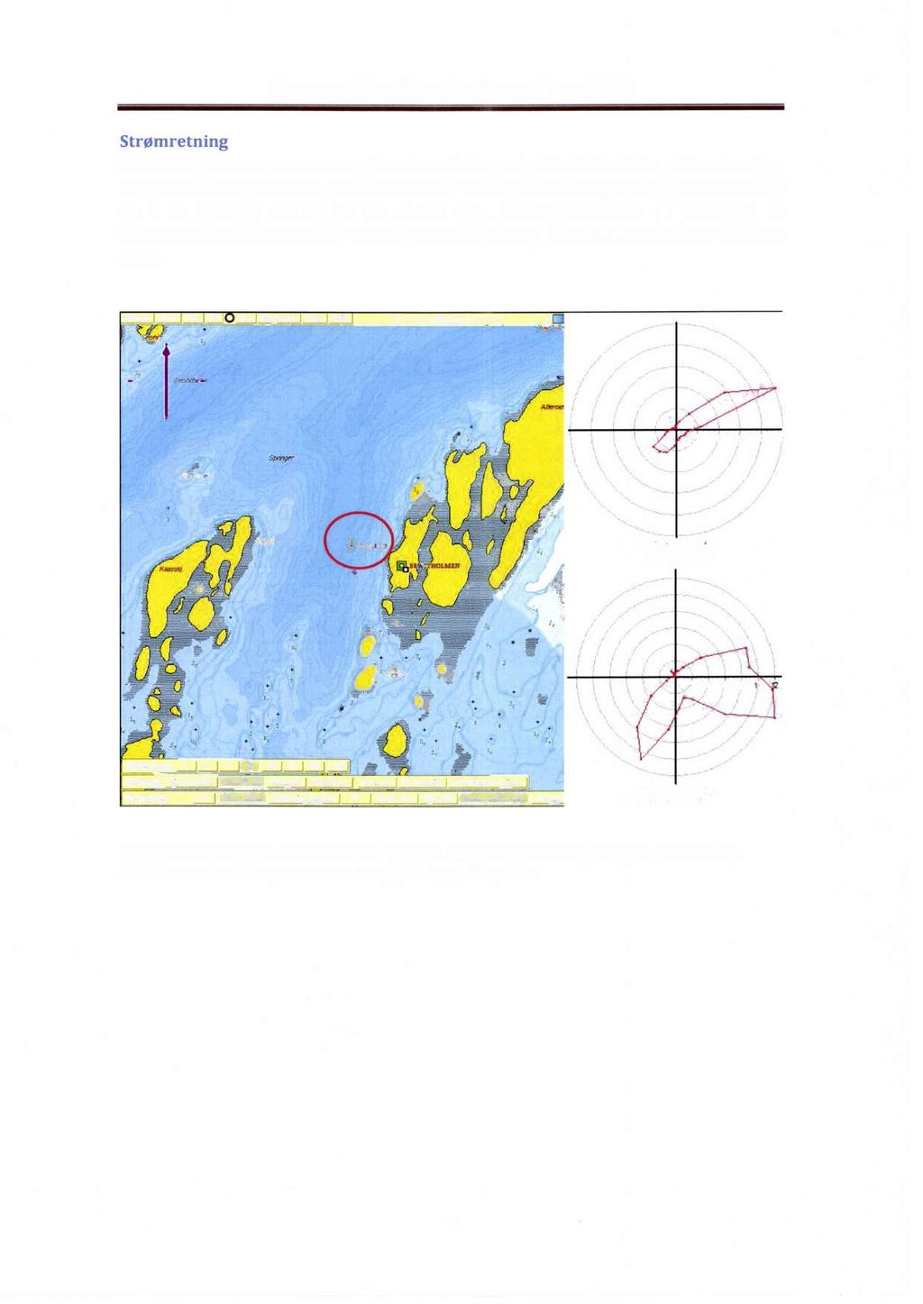 Strømmåing Bratthomen Mars 2013 trømretning Hovedtransporten av vannmasser Progressiv vektor viser at en partikke og sørøstig i en middesstabistabi retning går mot nordøst på og øst på henhodsvis
