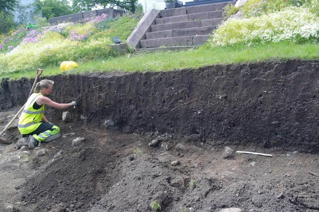 kabelpåvisningen på plass og den nedre delen av hagen ble avdekket. De resterende dagene gikk med til dokumentering av strukturene, snitting og prøvetaking.