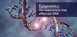 Vitenskapelige vendinger 2012 1,5 % DNA gir Protein