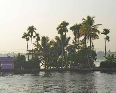 18 Fotoalbum Indien-Reise 30. Jänner 2014 Vorarlberger KirchenBlatt Die sogenannten Backwaters sind natürliche Lagunen, die eine eigene Welt hinter der Westküste Keralas bilden.