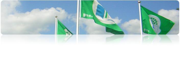 De 7 Grønt Flagg kriteriene 1. Deltakelsen skal besluttes av styret. Et miljøråd skal opprettes 2. Det skal utføres en miljøgjennomgang 3.