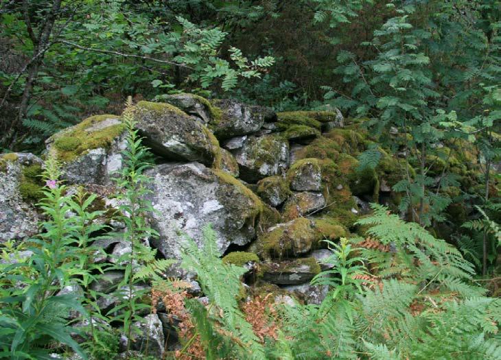 Steingarden i nordøstre del av planområdet.