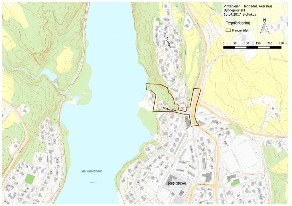 Bakgrunn Stiftelsen BioFokus har på oppdrag fra Pilares eiendom AS kartlagt naturverdier i et område mellom Røykenveien og Gjellumvannet, nord for Heggedal sentrum i Asker kommune (Figur 1).